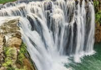 ISFP 유형 특징 분석