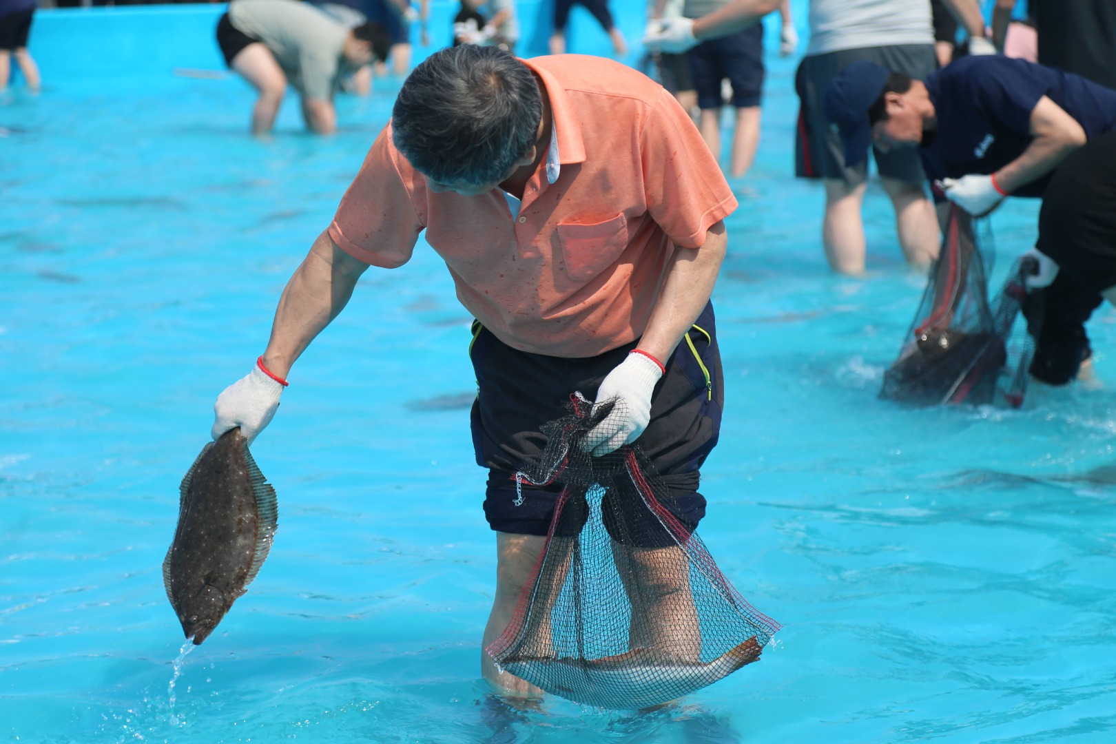 2025 서천 자연산 광어 도미 축제