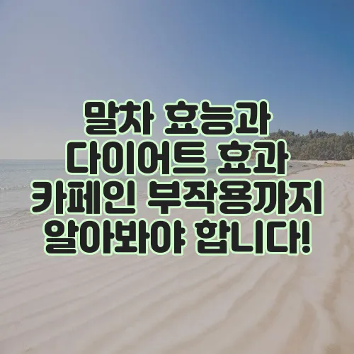 말차 효능과 다이어트 효과 카페인 부작용까지 알아봐야 합니다!