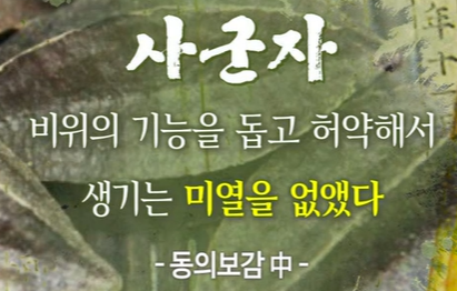 전립선사군자