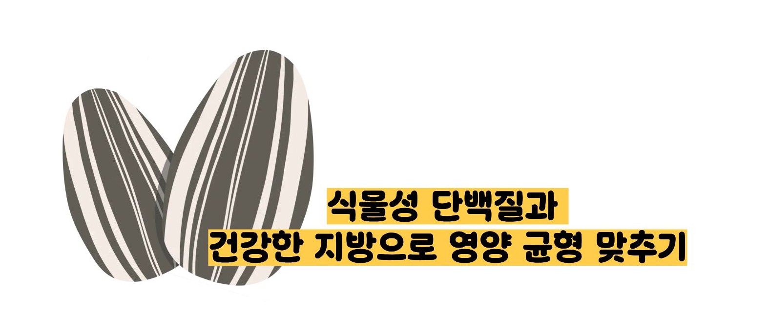 해바라기 씨 효능