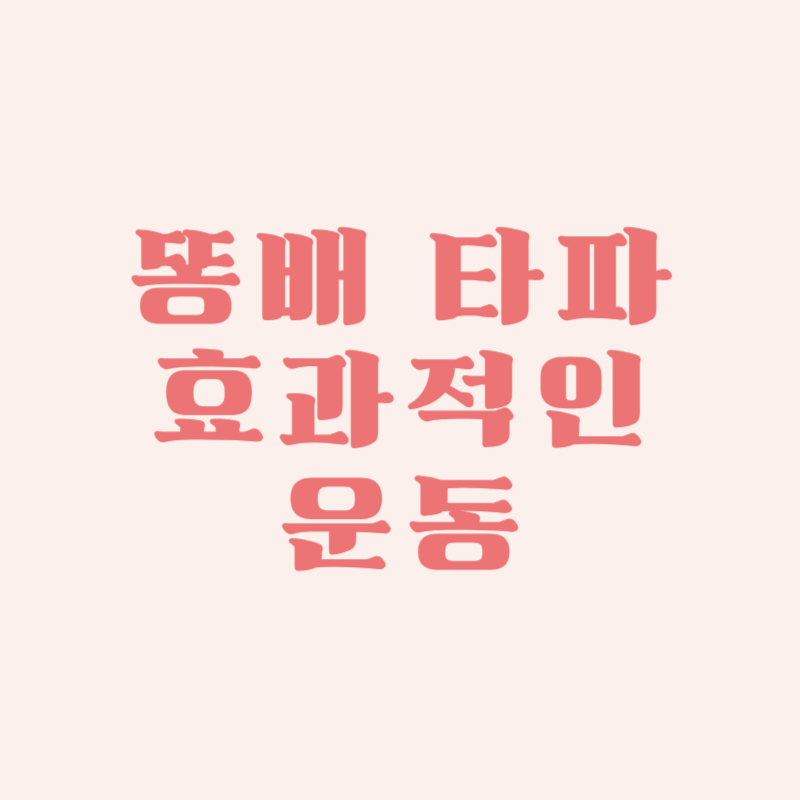 똥배 타파 효과적인 운동