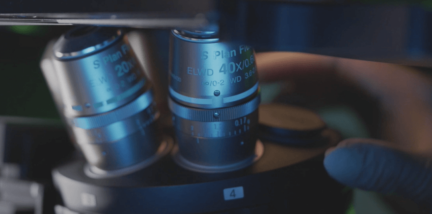 박셀바이오 주가 전망 무상증자 임상 배당금