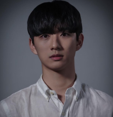안도규
