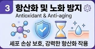 멜라토닌 효능