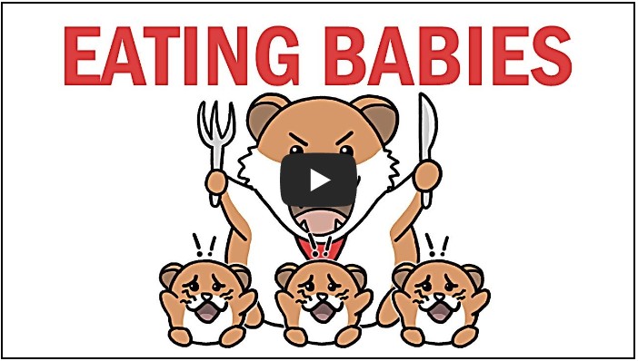 교육/지식 유튜버 TOP 10 2