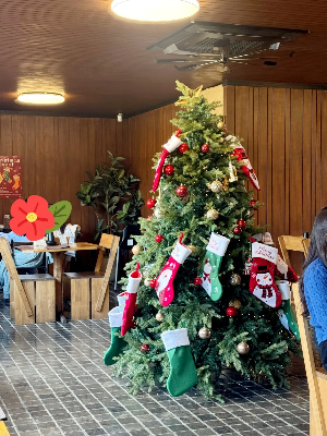 정희-내부-트리