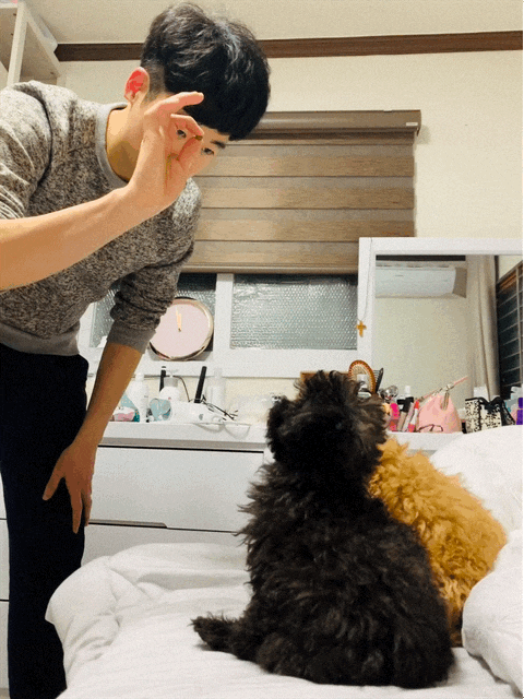 아이폰 라이브포토 움짤