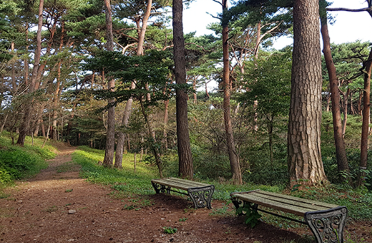 태안 안면도 수목원