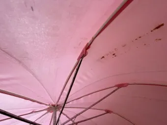 우산 곰팡이 건조 방법과 보관 팁 방습제 활용_15
