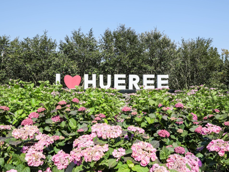 아이와가볼만한곳추천