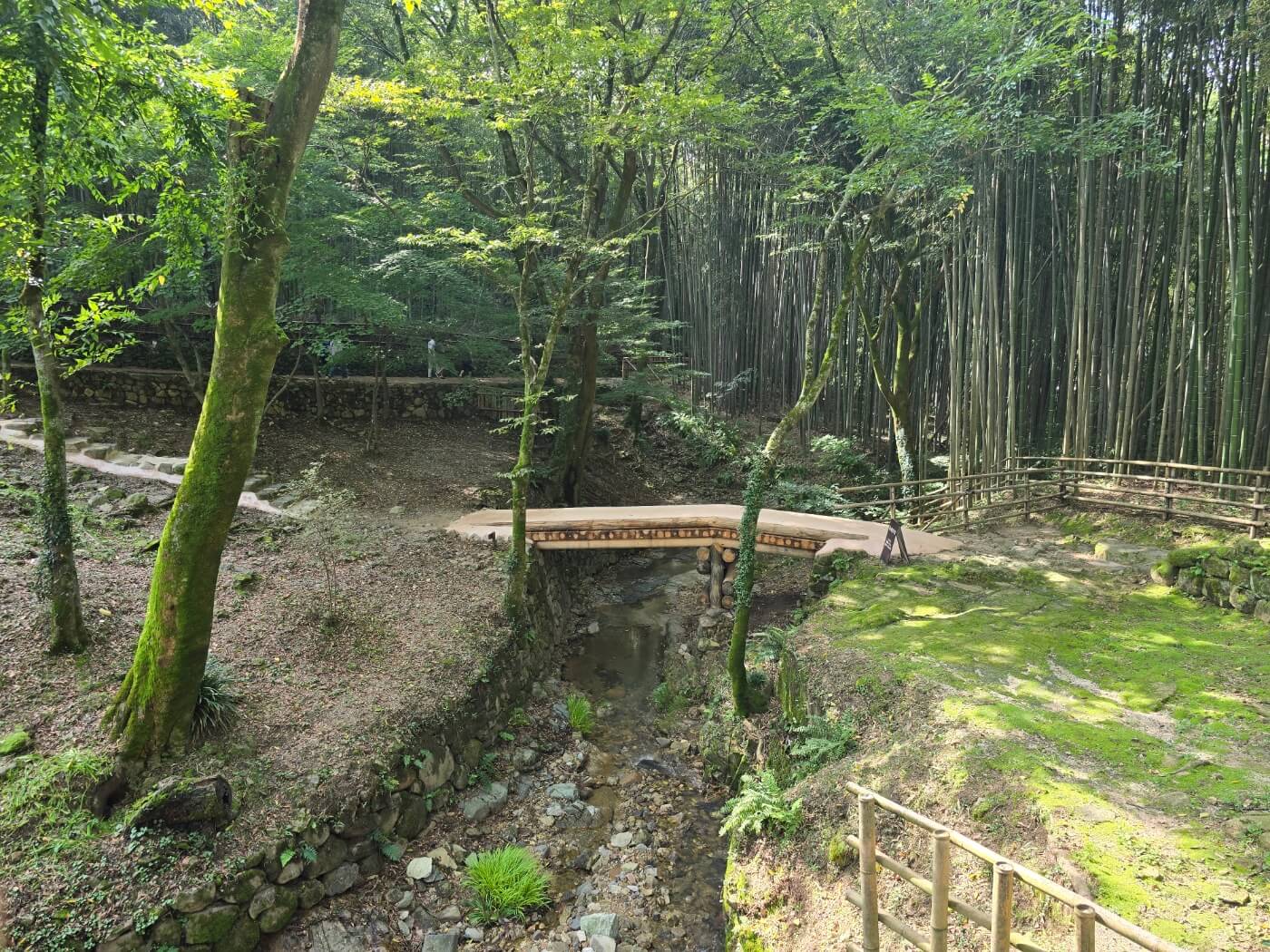 소쇄원 대나무 거리와 다리와 멋진 나무