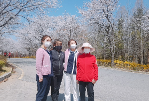 벚꽃이 만개한 길에서 함께 걸으며 남긴 추억