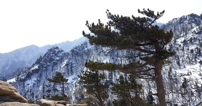 겨울철 국내 여행지