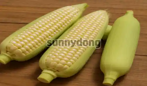 글의 이해를 높이기 위한 초당옥수수 이미지