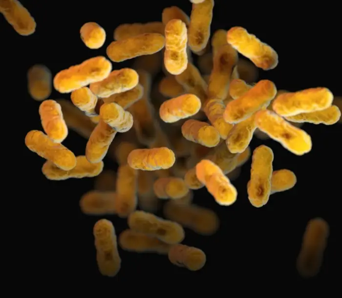 마이코플라즈마 폐렴 증상