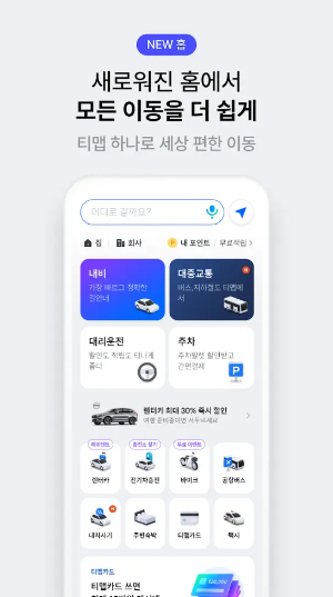 티맵