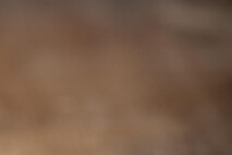 키 크는 영양제