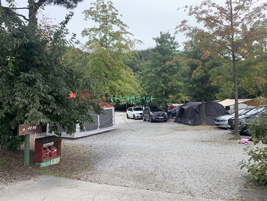 사이트-용인 단풍숲 캠핑장