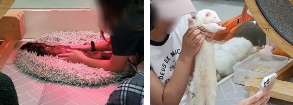 만지기 체험, 동물은 스트레스를 견딘다