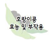 서리태 효능11가지와 부작용 및 먹는 방법