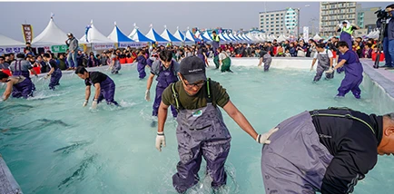 제주 최남단 방어축제