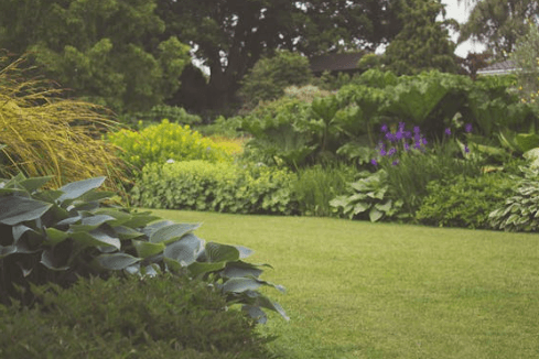 2024 조경기능사 시험일정&amp;#44; 응시자격(필기&amp;#44;실기)