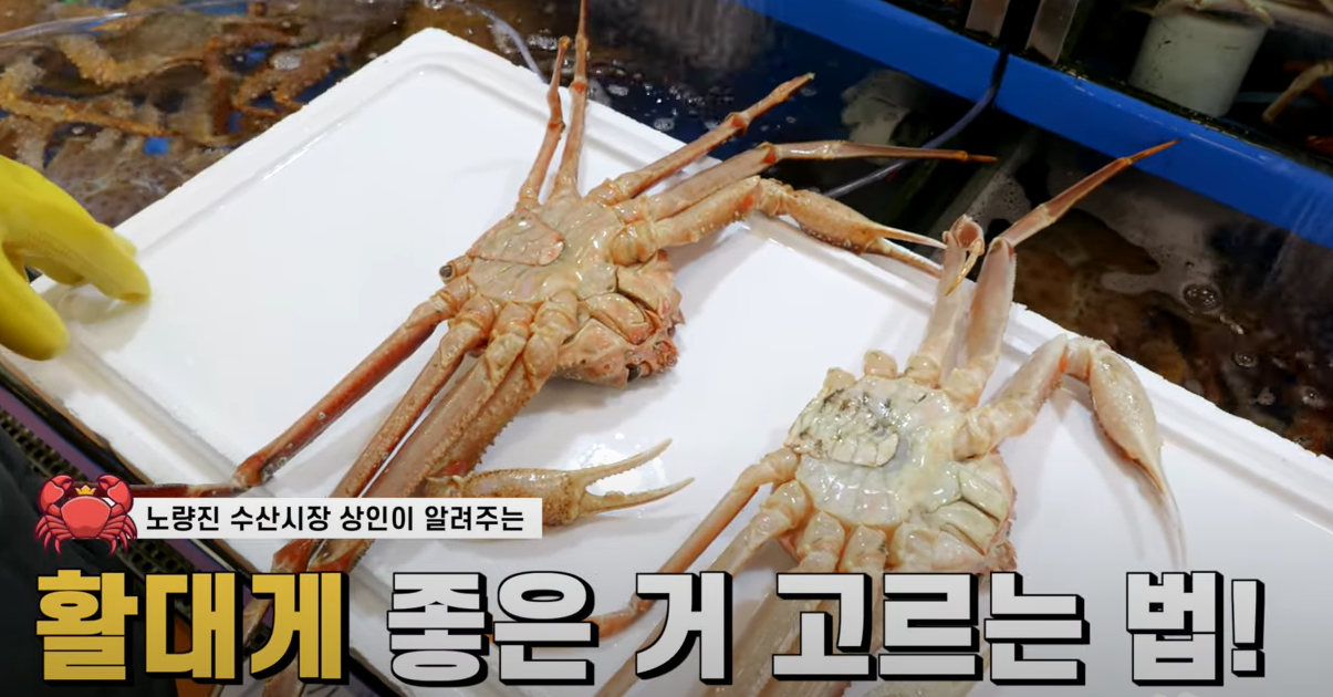 대게고르는법