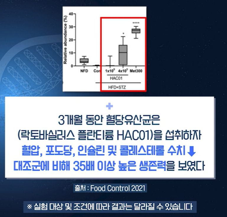 혈당 유산균