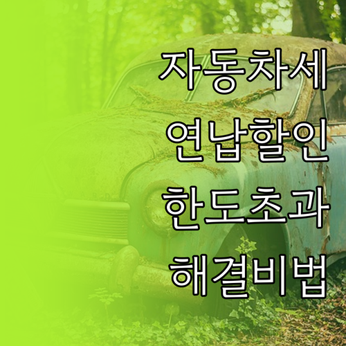 자동차세 연납 할인 기간 및 이체 한..