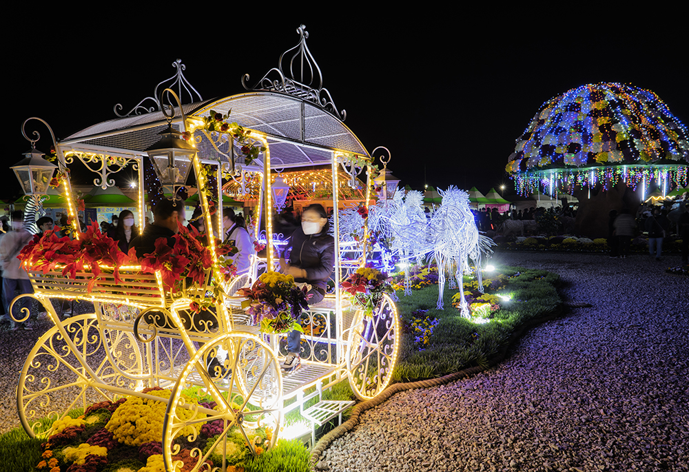 2024 고흥 유자 축제