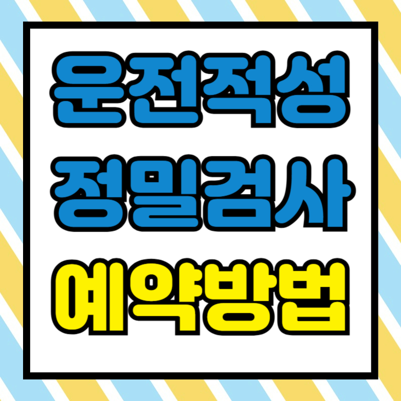 운전적성정밀검사