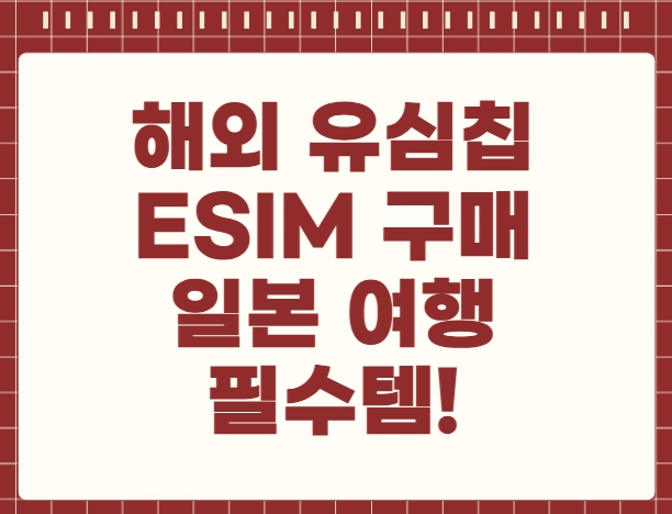 해외 유심칩 eSIM 구매