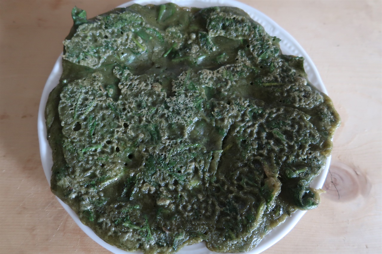 5월 제철 뽕잎나물의 효능과 요리법 총정리