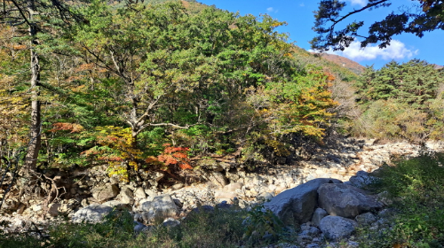 설악산_단풍여행_총정리