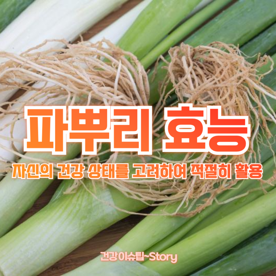 파뿌리 효능