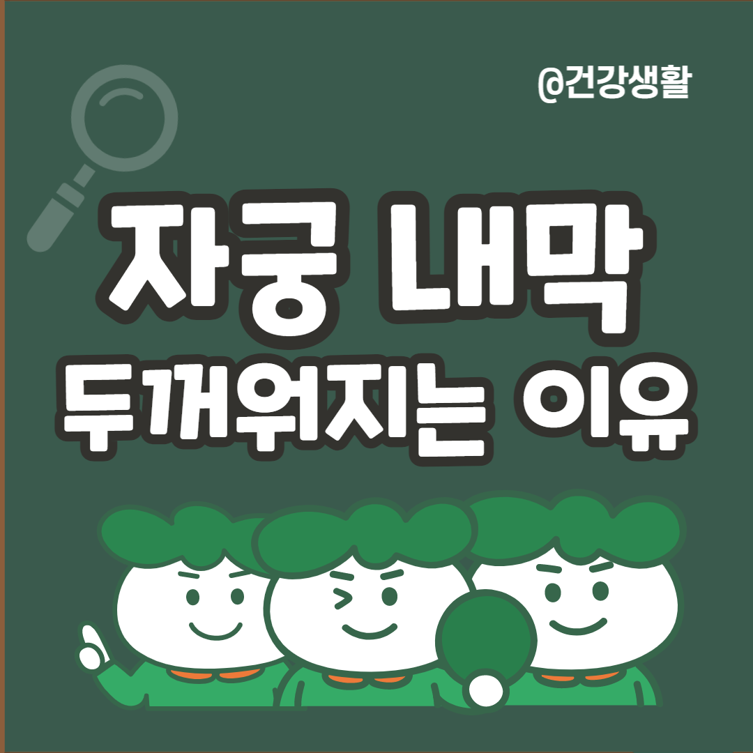 자궁내막