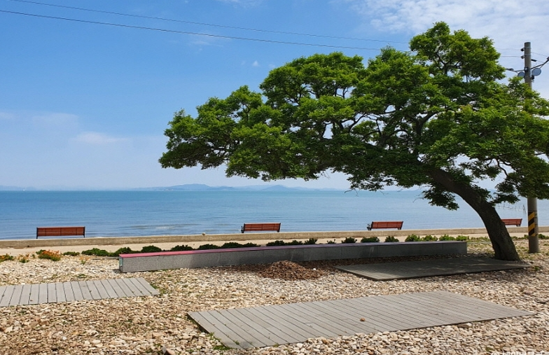 송이도