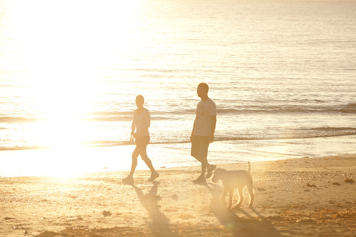 노을 받으며 해변가를 걷는 남녀와 강아지