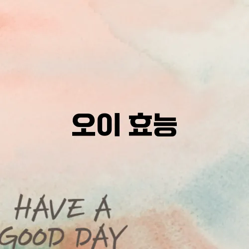 오이 효능