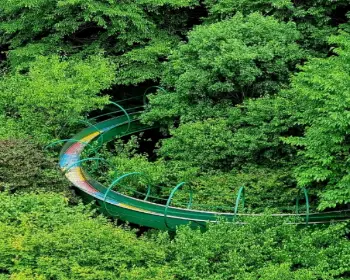 금산 삼계탕 축제_24