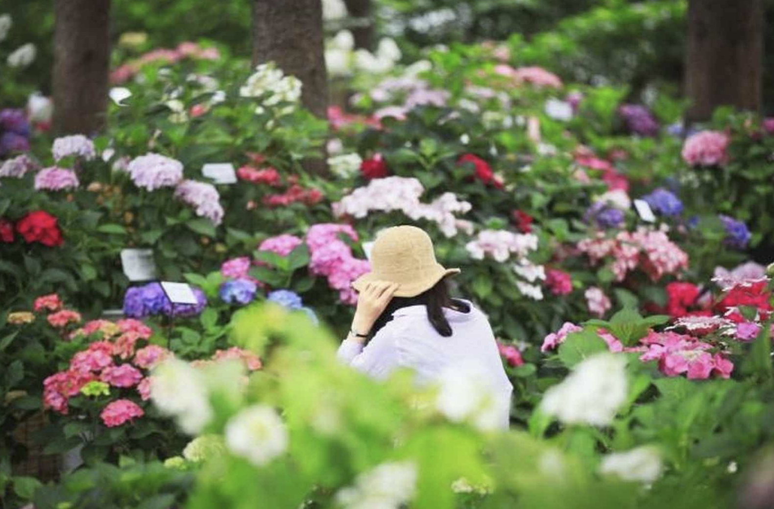 아침고요수목원 전경