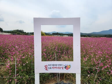 나리공원 포토존