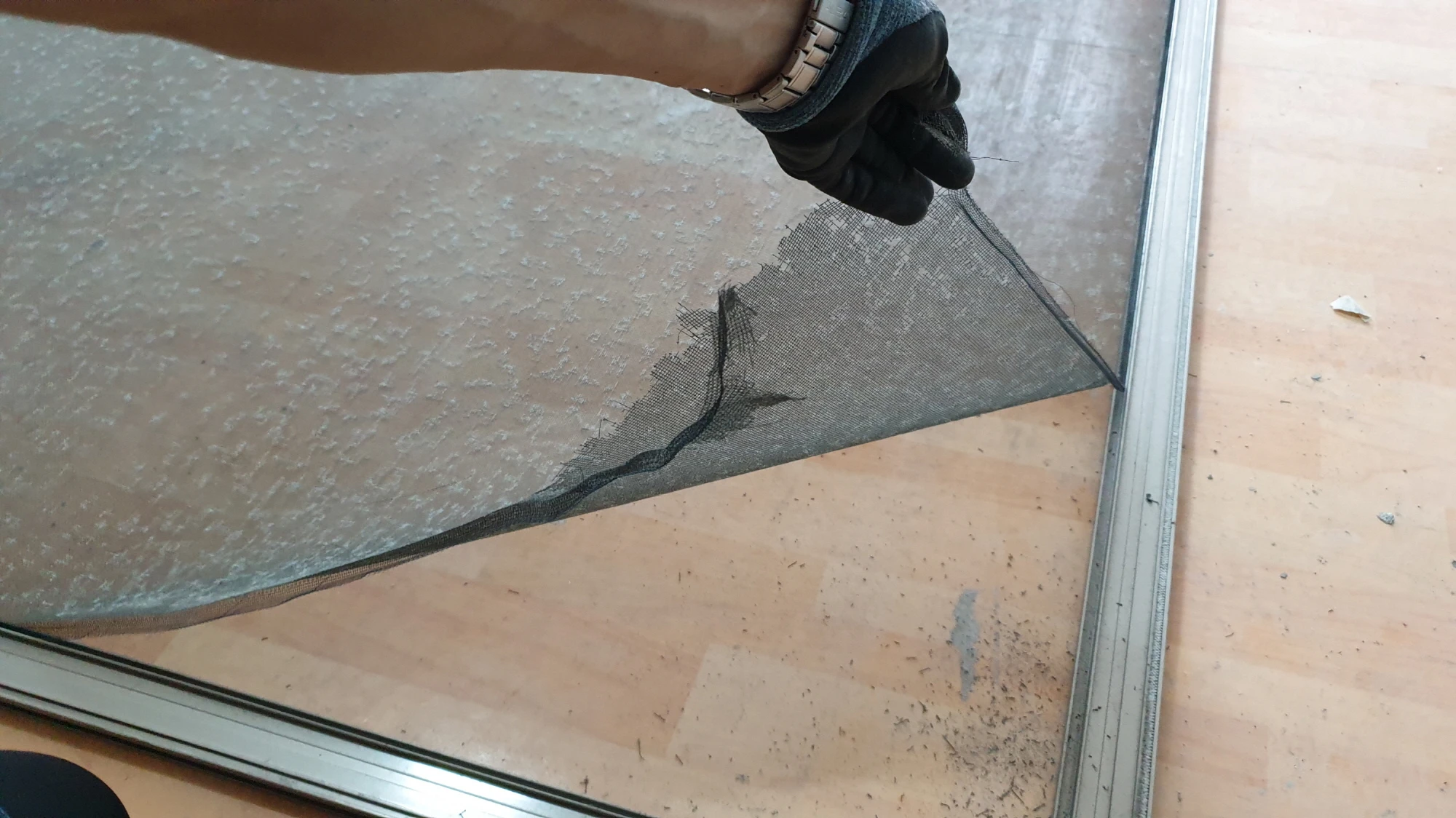 방충망 빼는 모습