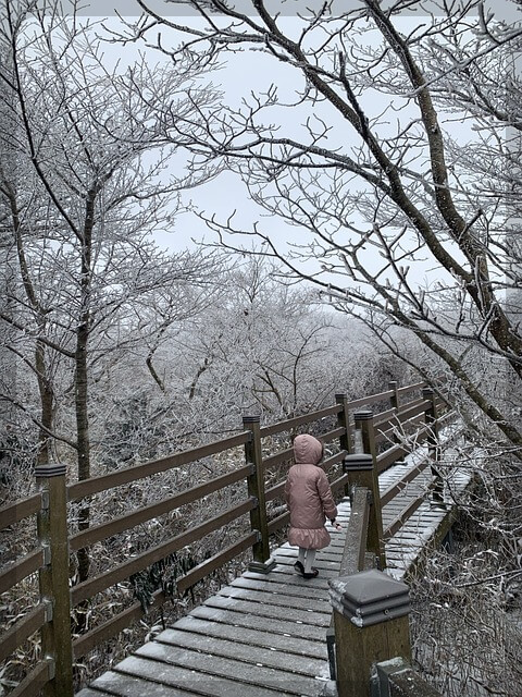 새해 맞이 한라산 야간 탐방예약안내 이용요금