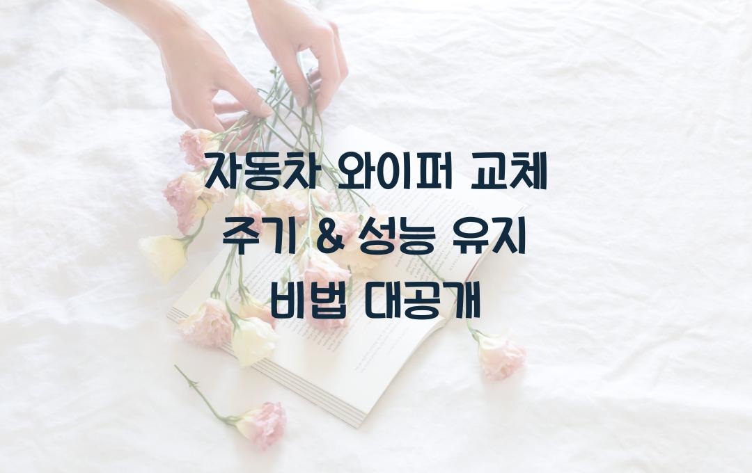 자동차 와이퍼 교체 주기 & 성능 유지 방법