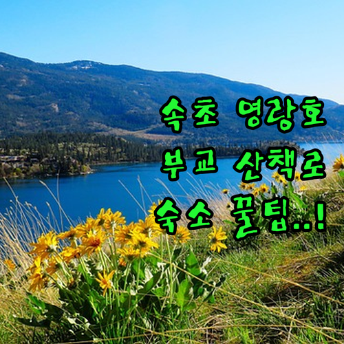 속초 여행 코스 영랑호수공원 부교 산..