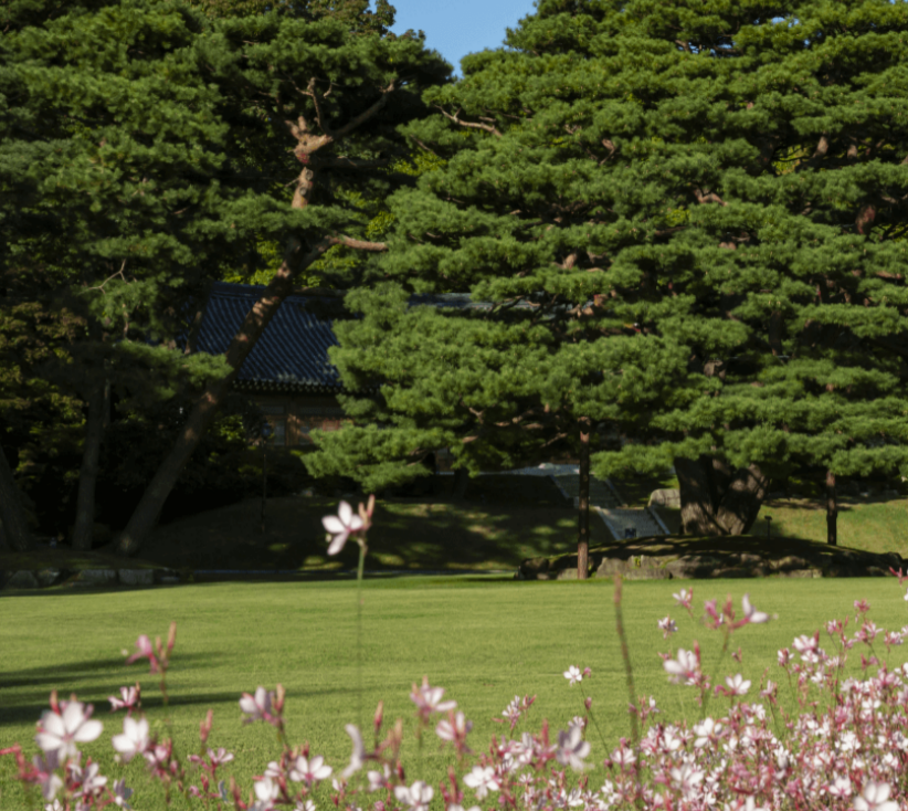 청와대 녹지원 일부 정경(출처 : 재단법인 청와대재단)