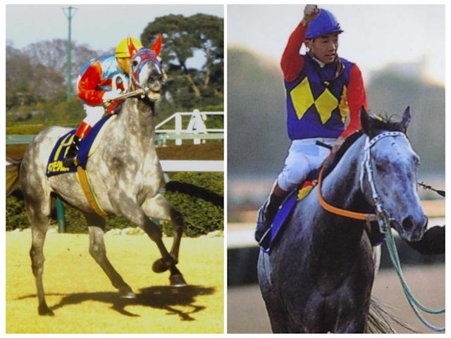 타마모 크로스 본기 : 하얀 전설 10