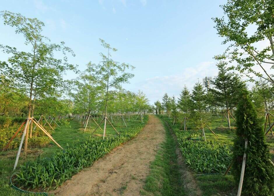 충주 가볼만한곳 베스트 10